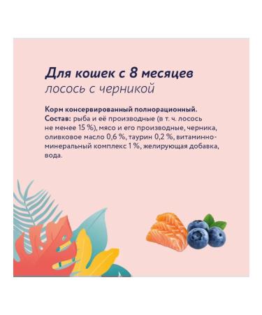 Florida canned food for cats salmon with blueberries 100g - Buy Online on GoSupps.com