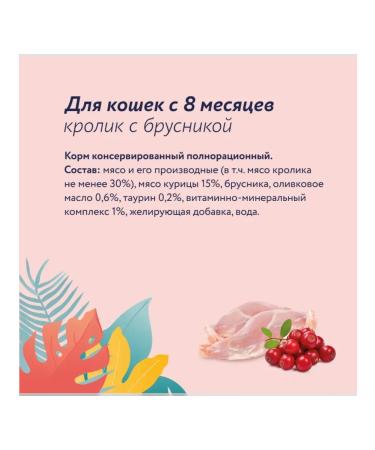 Florida Canned food for cats rabbit with lingonberries 12x100 g - Buy Online on GoSupps.com