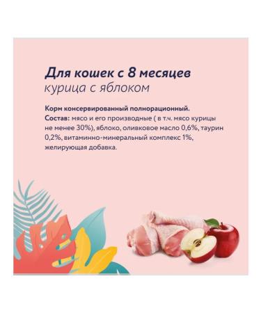 Florida Canned food for cats chicken with apple 100 g - Buy Online on GoSupps.com
