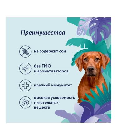 Florida canned food for dogs chicken and apple 240 grams - Buy Online on GoSupps.com