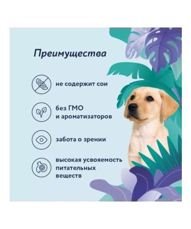 Florida Canned food for puppies lambs with blueberries 6 pcs 400 g - Buy Online on GoSupps.com