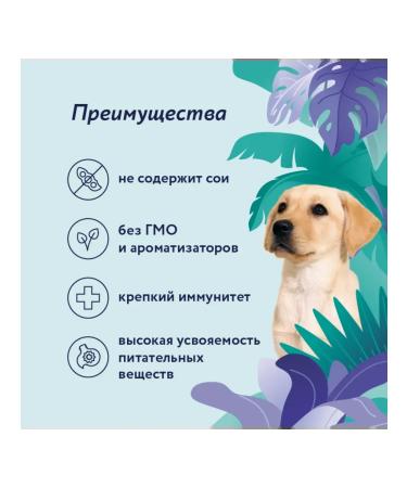 Florida canned goods for puppies turkey with cranberries 240 gr - Buy Online on GoSupps.com