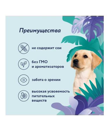 Florida Canned food for puppies lambs with blueberries 400 g - Buy Online on GoSupps.com