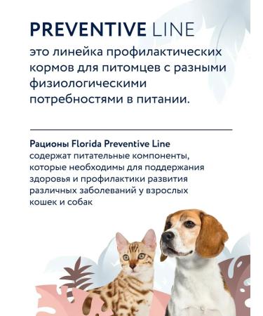 Florida Gastrointestinal canned food for dogs with a hump 100g - Buy Online on GoSupps.com