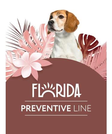 Florida GastroinTestinal canned food for dogs with a hump 24x100g - Buy Online on GoSupps.com