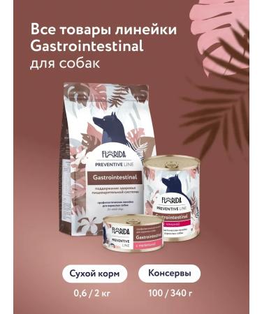 Florida GastroinTestinal canned food for dogs with a hump 24x100g - Buy Online on GoSupps.com