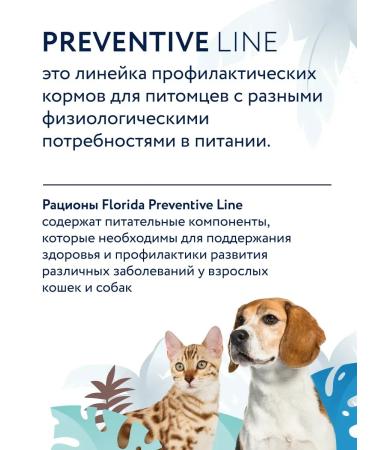 Florida Hypoallergenic canned dogs with turkey 24x100g - Buy Online on GoSupps.com