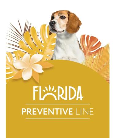 Florida Urinary canned dogs with beef 24x100g - Buy Online on GoSupps.com