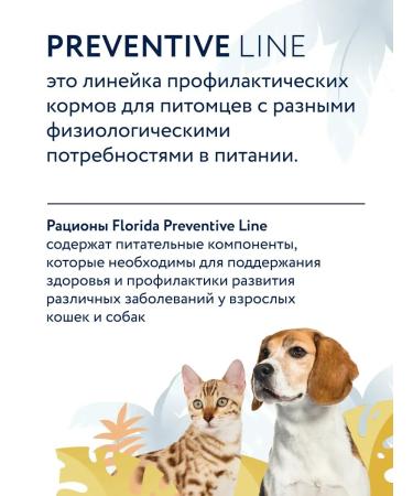 Florida Urinary canned dogs with beef 24x100g - Buy Online on GoSupps.com