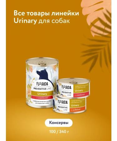 Florida Urinary canned dogs with beef 24x100g - Buy Online on GoSupps.com