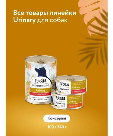 Florida Urinary canned dogs with turkey 24x100g - Buy Online on GoSupps.com
