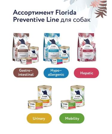 Florida Urinary canned dogs with turkey 24x100g - Buy Online on GoSupps.com