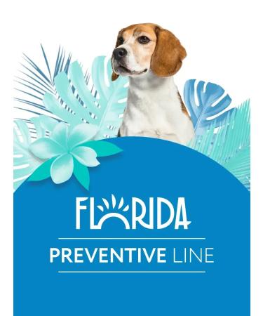 Florida Hypoallergenic canned food for dogs with a horse 100 g - Buy Online on GoSupps.com
