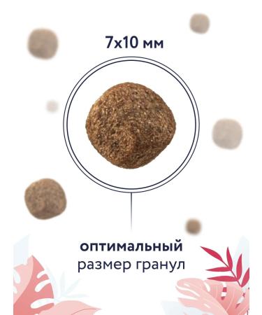 Florida Hepatic dry cat food 0.5 kg - Buy Online on GoSupps.com