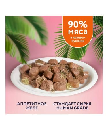 Florida Spiders for cats with sensation. Little damp and carrots in sauce 12x85g - Buy Online on GoSupps.com