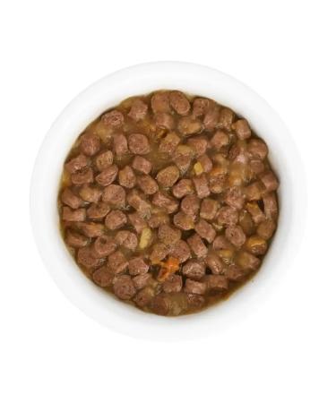 Florida Spiders for cats with sensation. food lamb and pumpkin in jelly 12x85g - Buy Online on GoSupps.com