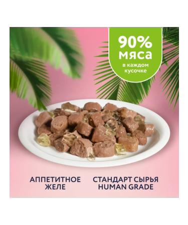 Florida Spiders for cats with sensation. food lamb and pumpkin in jelly 12x85g - Buy Online on GoSupps.com