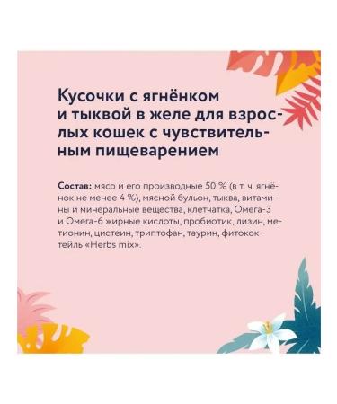 Florida Spiders for cats with sensation. food lamb and pumpkin in jelly 12x85g - Buy Online on GoSupps.com