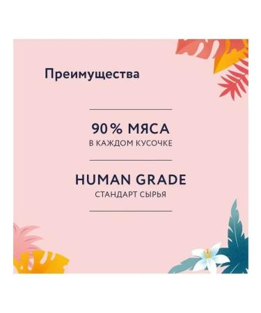 Florida Spiders for cats with sensation. food lamb and pumpkin in jelly 12x85g - Buy Online on GoSupps.com