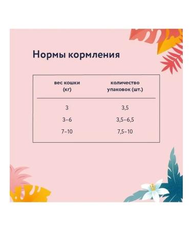 Florida Spiders for cats with sensation. food lamb and pumpkin in jelly 12x85g - Buy Online on GoSupps.com