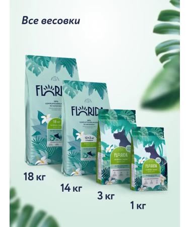 Florida Feed for dogs of large breeds with lamb and pear 3 kg - Buy Online on GoSupps.com