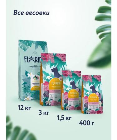 Florida Feed for dogs of small breeds with chicken and apple 3 kg - Buy Online on GoSupps.com