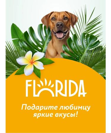 Florida Feed for dogs of small breeds with chicken and apple 3 kg - Buy Online on GoSupps.com