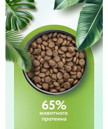 Florida Feed for dogs of small breeds with lamb and pear 1 kg - Buy Online on GoSupps.com