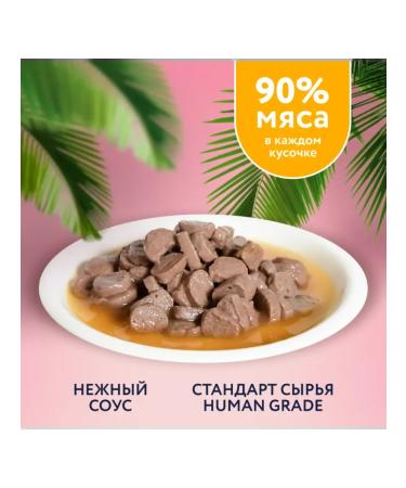 Florida Spider for kittens pieces of chicken in sauce 85 g - Buy Online on GoSupps.com