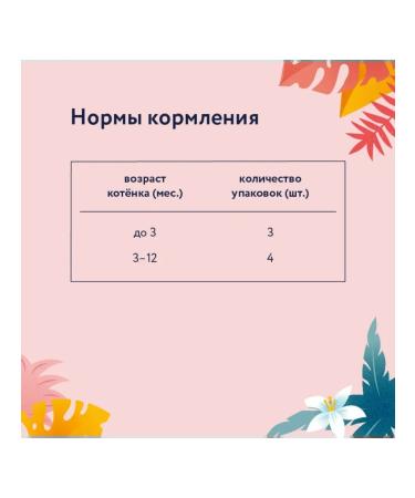 Florida Spider for kittens pieces of chicken in sauce 85 g - Buy Online on GoSupps.com