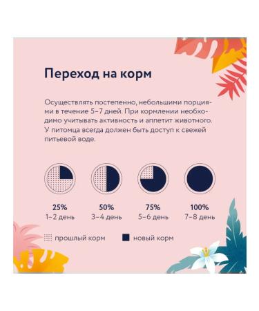 Florida Spider for kittens pieces of chicken in sauce 85 g - Buy Online on GoSupps.com