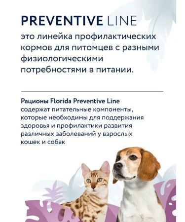 Florida Renal canned food for cats with turkey 100 g - Buy Online on GoSupps.com