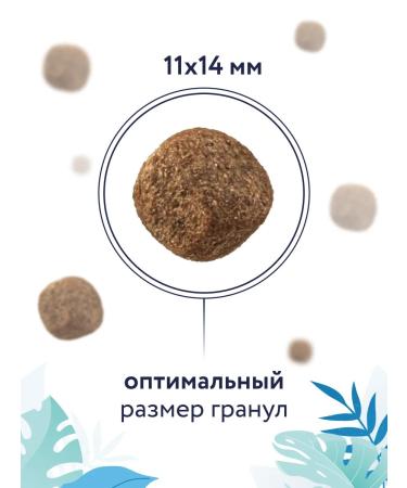 Florida Hypoallergenic dry dog food 0.6 kg - Buy Online on GoSupps.com
