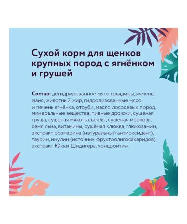 Florida Feed for puppies of large breeds with lamb and pear 1 kg - Buy Online on GoSupps.com