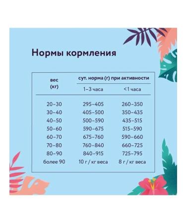 Florida Feed for dogs of large breeds with chicken and apple 1 kg - Buy Online on GoSupps.com