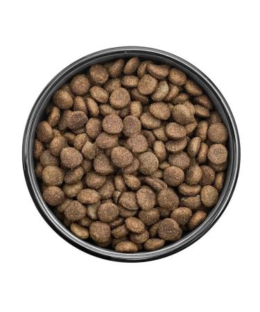 Florida Feed for dogs of large breeds with chicken and apple 1 kg - Buy Online on GoSupps.com