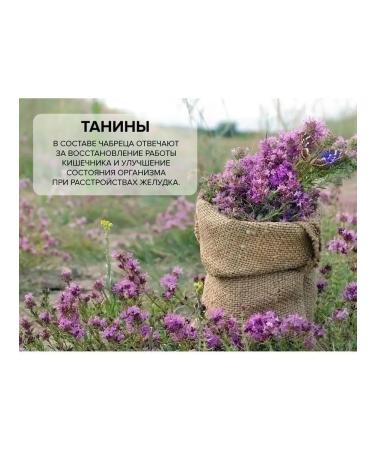 The Ural Nature Reserve Thyme for tea dried - Buy Online on GoSupps.com