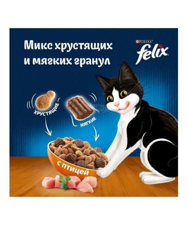 FELIX Dry food for adult cats Double yummy with birds - Buy Online on GoSupps.com