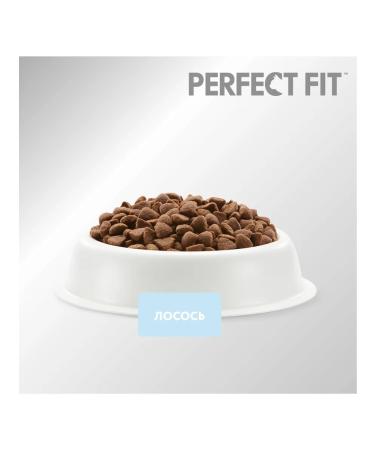 PERFECT FIT Dry food for adult cats of kidney health with l - Buy Online on GoSupps.com