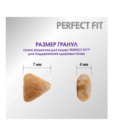 PERFECT FIT Dry food for adult cats of kidney health with l - Buy Online on GoSupps.com