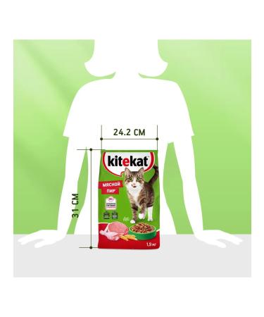 Kitekat Dry food for cats meat feast 1.9kg - Buy Online on GoSupps.com