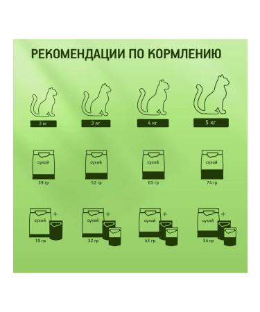 Kitekat Dry food for cats meat feast 1.9kg - Buy Online on GoSupps.com