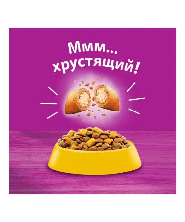 WHISKAS Dry food for adult cats delicious pillows from not - Buy Online on GoSupps.com