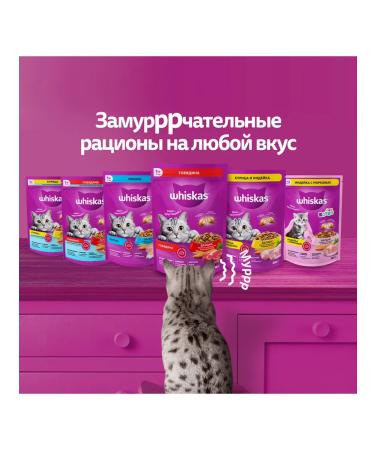 WHISKAS Dry food for adult cats delicious pillows from not - Buy Online on GoSupps.com