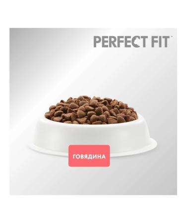 PERFECT FIT Dry food for adult cats beef full -man - Buy Online on GoSupps.com