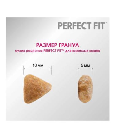 PERFECT FIT Dry food for adult cats beef full -man - Buy Online on GoSupps.com