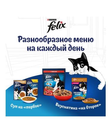 FELIX Dry food for adult cats Meat of ease of beef - Buy Online on GoSupps.com