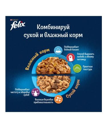 FELIX Dry food for adult cats Meat of ease of beef - Buy Online on GoSupps.com