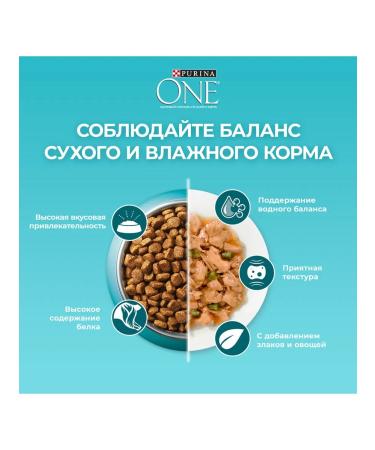 PURINA ONE Dry food for adult cats Sterilized with chicken - Buy Online on GoSupps.com