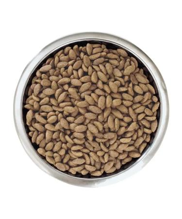 Purina Pro Plan Dry food for dogs with sensitive skin with salmon 3 kg - Buy Online on GoSupps.com